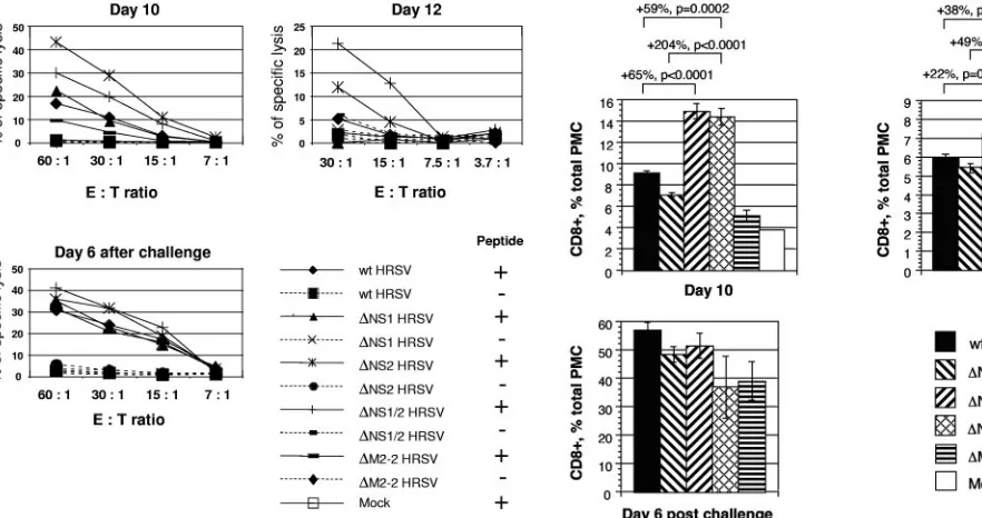 FIG. 5. Comparison of the total numbers of pulmonary CD8�the total PMC. Increases in percentages between pair-wise comparisonsare shown, with thefrom infected BALB/c mice that were isolated and quantiﬁed during theexperiment presented in Fig