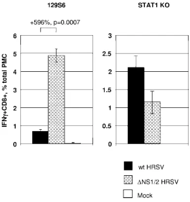 FIG. 8. Analysis of the pulmonary HRSV-speciﬁc CTL response in129S6 mice (left panel) or STAT1 KO mice (right panel)