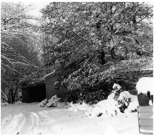 Figure 2-0. Heavy snow from the December  storm buries a rural home in Illinois.