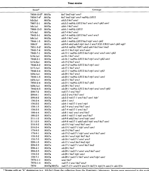 TABLE 1 Yeast  strains 