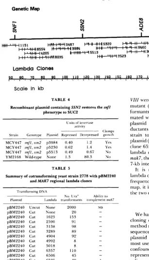 TABLE  4 mak7 mutant (see METHODS). Ura+  trans- snfl VZZZ were  cotransforrned MA~rERIALs AND with pBM2240  into a Recombinant plasmid containing SSN2 restores the formants  produced  from  each  lambda  clone  were 