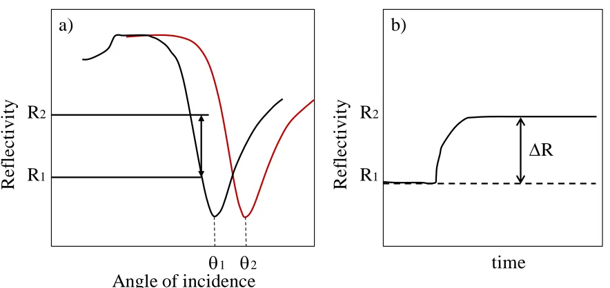 Figure 1.3. SPR curves after adsorption from solution. a) Shift in angle (from 1 to 2) upon adsorption from solution as monitored in angular scan mode