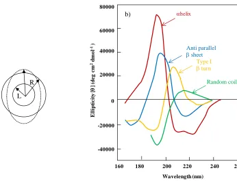 Figure 1.4. a) Illustration of the two components of polarized light (L and R) showing the elliptical polarization