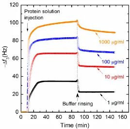 Figure 3.2. QCM shift of frequency (3rd overtone) as a function of time upon injection of soy glycinin (11S) solution on a silica surface after 10 minutes stabilization in phosphate buffer (pH 7 and 25 °C)