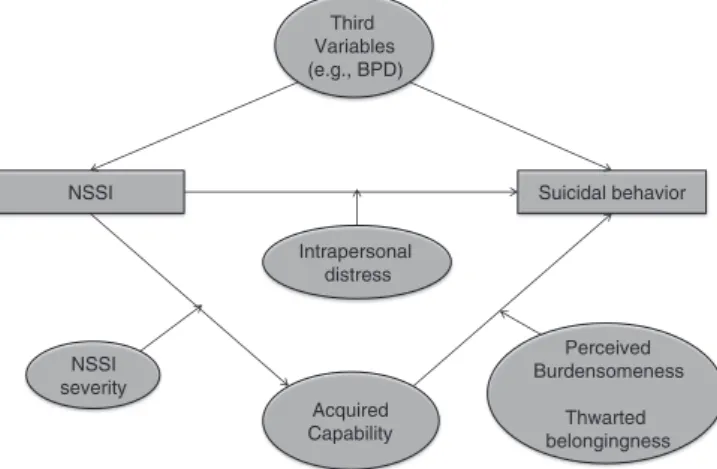 Fig. 1. An integrated model.Note: It is predicted that NSSI will directly predict suicidal behavior, as proposed by Gateway Theory, and that this association will be moderated by levels of intrapersonal distress