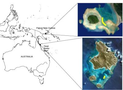 Figure 2.1: Map of the South-West Pacific showing the location of the two experimental sites Schumann Island in Kimbe Bay (Papua New Guinea) and Lizard Island on the Great Barrier Reef (Australia)