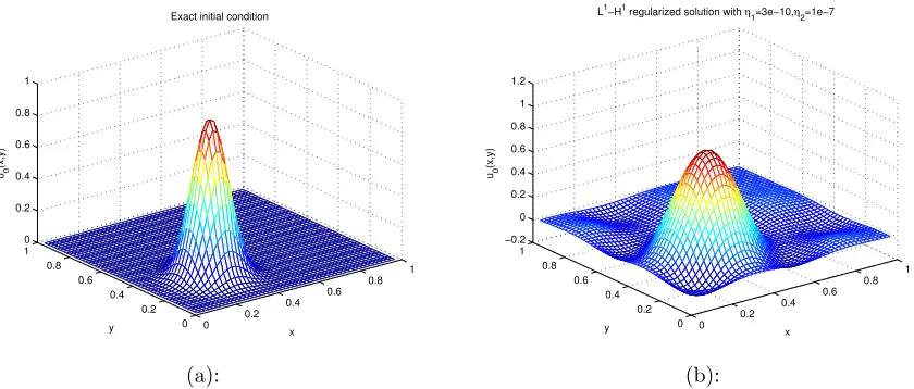 Figure 6.2.1: (a) Exact initial condition; (b) Reconstruction with 10% noise in measure-ments.