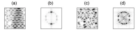 FIG. 6:The ﬁrst eigenmode for the same parameters as inﬁeld polarization, (b) — its transverse Fourier transform; (c)—(1Fig