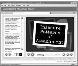 FIGURE 2. The Flash Template for the Multimedia Learning Objects