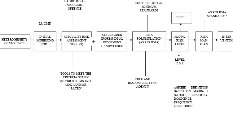 Figure 1: A Violence Assessment and Management Framework 