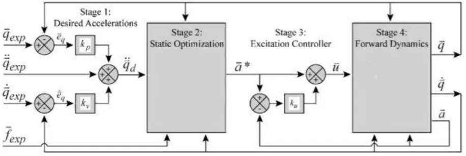 Figure 1.6: Computed Muscle Control Algorithm. 