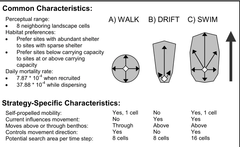 Figure 1. Summary of the characteristics of three generalized dispersal strategies: walkers, 