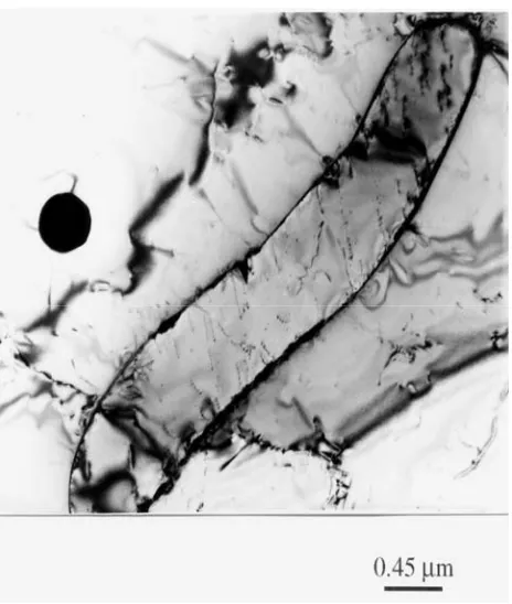 Figure 6 TEM Bright field micrograph showing delta ferrite with virtually no precipitate on  the �/�  grain boundary, in specimen C1, weld T15