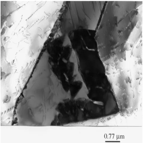 Figure 10  TEM bright field  showing delta ferrite( dark grain) with significant �                                             precipitation both along the �/�  grain boundary and within the grain, in specimen F3, weld T10