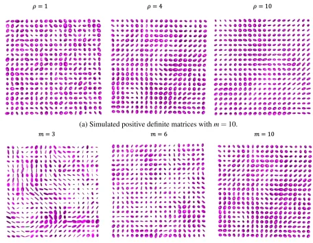 Figure 2.1: Simulated positive deﬁnite matrices from standard spatial Wishart processes (i.e.,