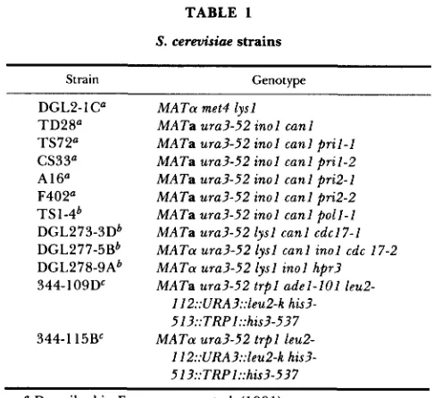 TABLE 1 (Table 1). MATa  pril-1,  MATa  pri2-1 and MATa  pri2-2 meiotic segregants from the obtained diploid strains were 