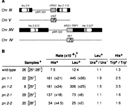 FIGURE 1.-Experimental are shown and LEU2 and common basic genetic features of all the strains used for this study as the ratio scheme to measure the effect of pril pri2 mutations on intrachromosomal recombination