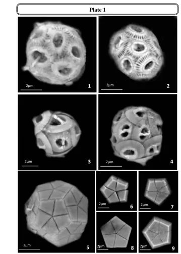 Figs. 1-2: Emiliania huxleyi (Lohmann, 1902) Hay and Mohler, in Hay et al., 1967 (Coccosphere) 