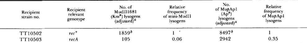 TABLE 8 Effect of a recA mutation on the relative frequency of lysogens of two transposition  proficient Mu derivatives, mini-Mud (MudII1681) and MupAPl 