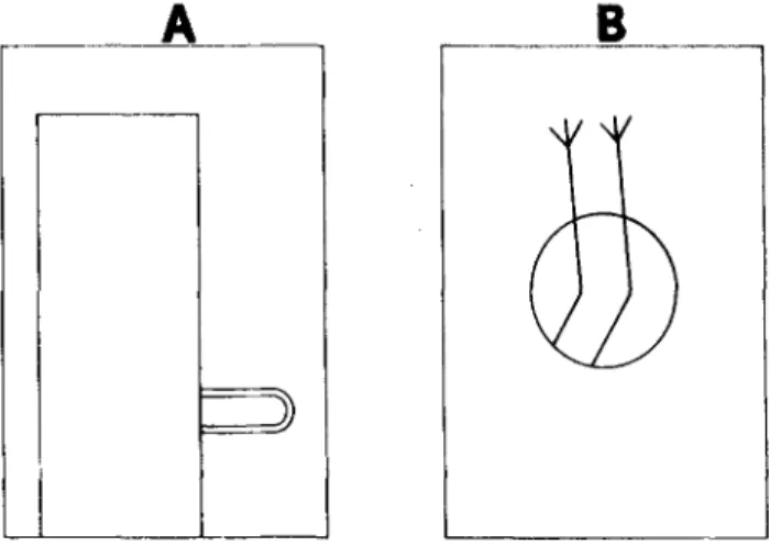 Figure I. Droodles of Experiment I. Panel A: A midget playing a trombone in a telephone booth