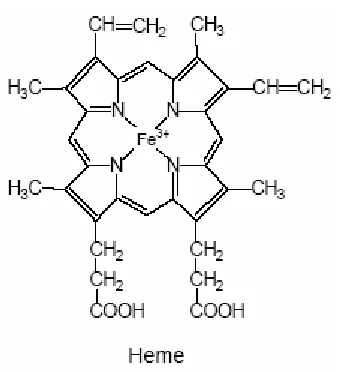 Figure 1. Heme 