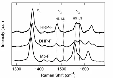 Figure 4.  RR spectra are shown in the high frequency region for the fluoride adducts of HHMb, DHP and HRP