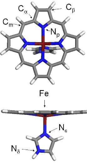 Figure 7. A representation of ferric iron porphine used for model DFT calculations. The identities of key atoms in the structure are given for reference with the text
