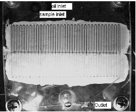 Fig. 1 The 32-cycle continuous-flow PCR chip used in the present study. The image shows an 