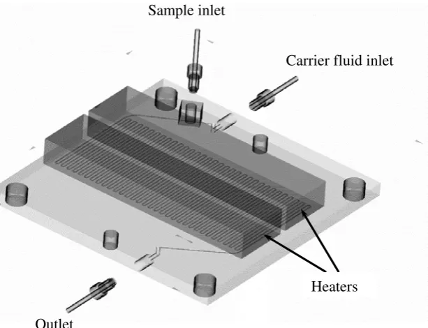 Fig. 2 Schematic representation of the PCR chip showing the overall layout and the inlets and  