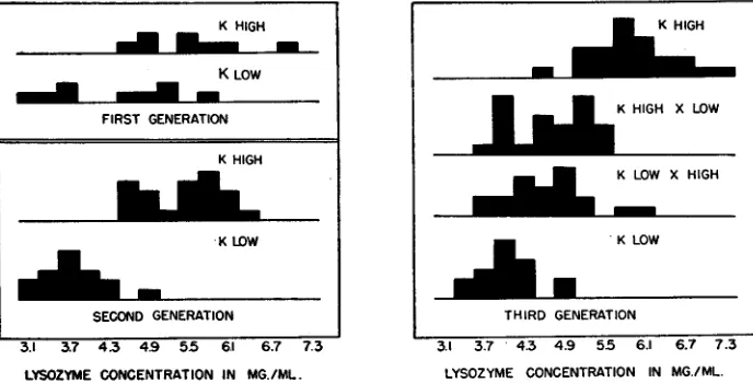 FIGURE 1.-Histograms generation birds of the lysozyme concentration of the egg whites of first, second, and third of the K strain