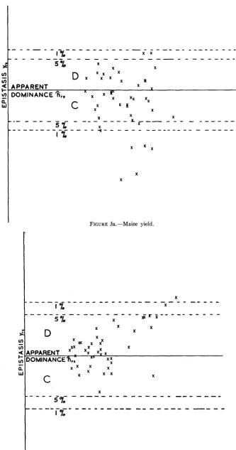 FIGURE 3a.-Maize 