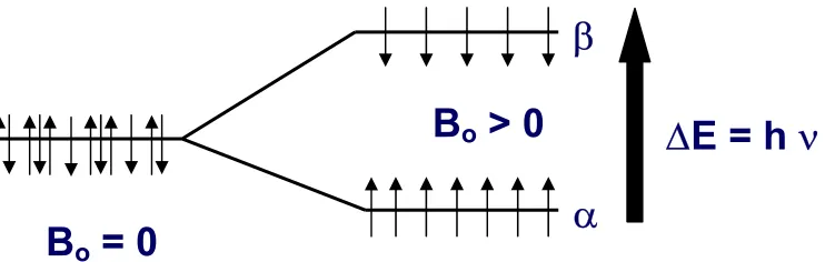 Figure 2.  Without an external magnetic field B0 (B0 = 0), there are no energy differences between all the nuclear spins in a bulk sample