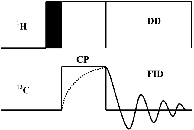 Figure 11. Cross Polarization Pulse Sequence. 