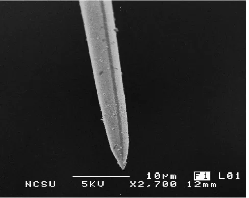 Figure 4. 1:  The split-tip probe has electrodes on the left and right sides, and the aperture located at the bottom