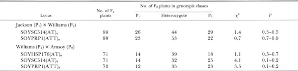TABLE 4 