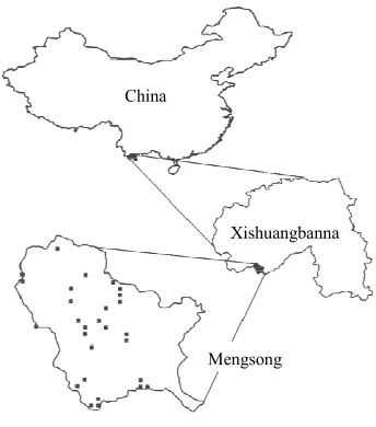 Figure 4.  Location of the study site Mengsong in Xishuang-