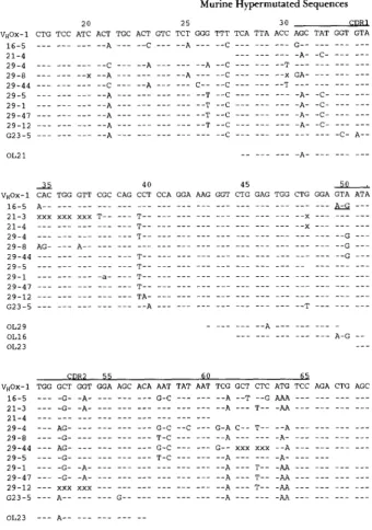 FIGURE 5,"Sequences of cloned regions that match probes of the sequence of heavy chain dash indicates identity with the germ line tated sequences