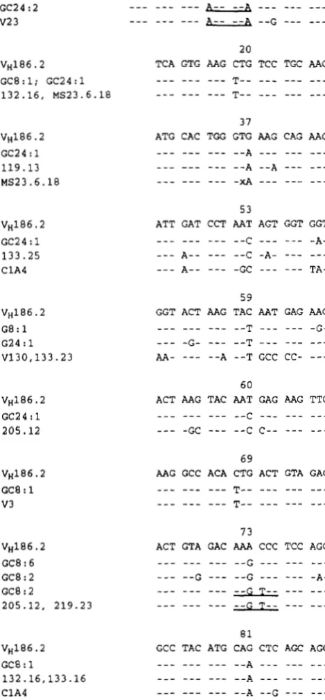 FIGURE 7."Silent mutations in germinal center NP-immunized 