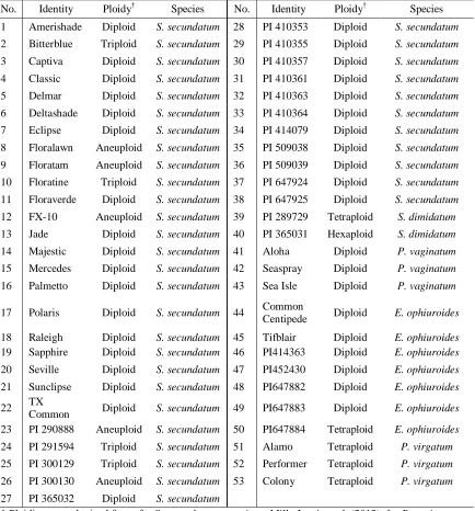 Table 3.1. List of Stenotaphrum germplasm, including their ploidy level, used for assessing molecular diversity with simple sequence repeat (SSR) markers