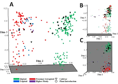 Figure 2.2. Three dimensional principal coordinate plot of 258 Stenotaphrum accessions 