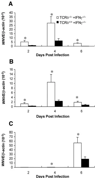 FIG. 7. Inhibition of WNV production from the bone marrow-derived DCs treated with IFN