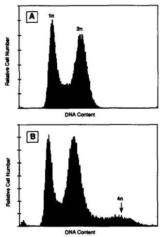 TABLE 6 Population average DNA content 