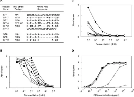 FIG. 1. Generation of cross-reactive antibodies by sequential immunization with different V3 peptides originating from HIV-1 clade B ﬁeldisolates