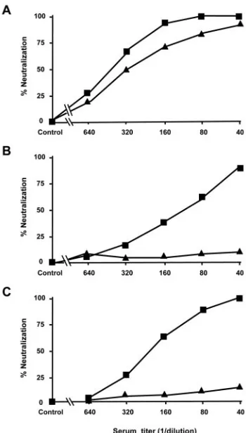 FIG. 2. Neutralization of HIV-1and HIV-1MN and clinical isolates HIV-1 by sera from sequentially immunized mice with di-MNp