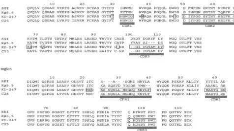 TABLE 1. Neutralizing activities of C25 and KD-247 against HIV-1 clade Ba