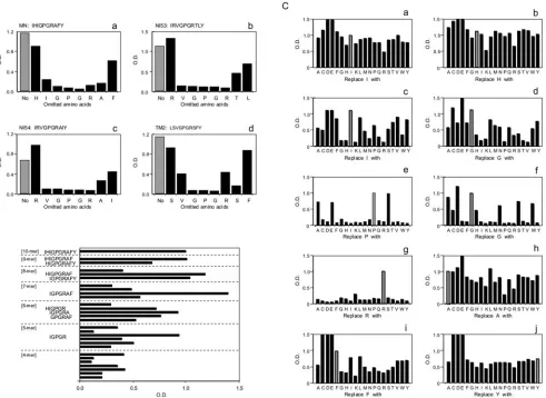 FIG. 6. Pepscan with deletion (A), overlapping (B), and replacement (C) peptides. KD-247 binding activity for the peptides is proportional tothe value of the optical density (O.D.) at 450 nm