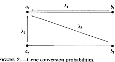 FIGURE 2.--Gene 