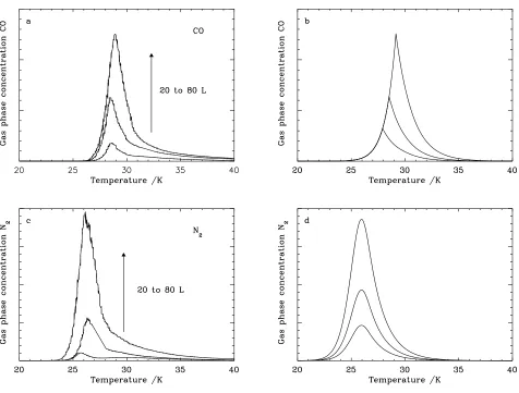 Fig. 2. TPD spectra for pure ices with exposures of 20, 40, 80 L. (a) CO experiments, (b) CO model, (c) N2 experiments, and (d)N2 model