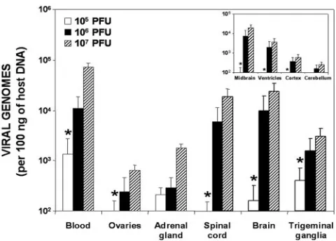FIG. 1. Quantiﬁcation of viral DNA loads during latency with re-spect to the viral dose injected into wild-type mice