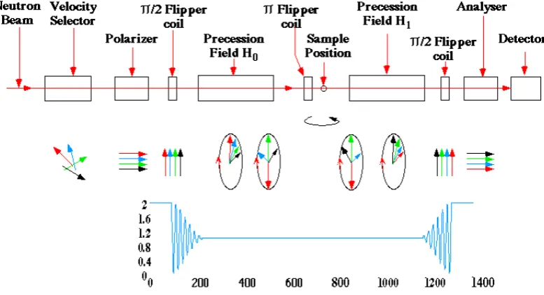 Figure 3.9: Schematic diagram showing the layout of components in a neutron spin echo experiment, along with the relative neutron polarisation and a graphical representation of how the net polarisation varies along the length of the experiment